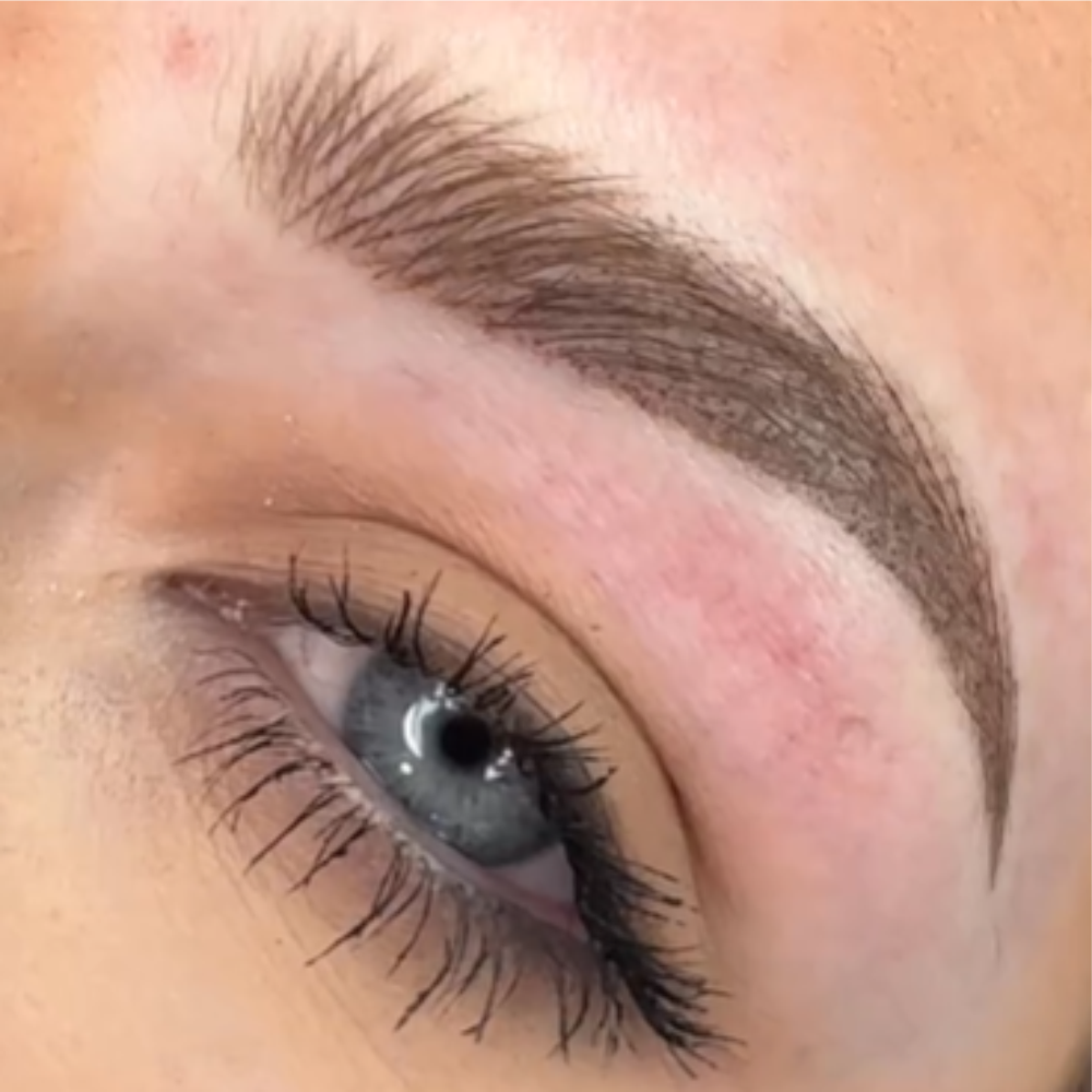 Permanent Make Up Professionals Workshop - Nano brows